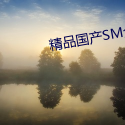 精品国产SM全(全)部网站(站)