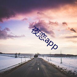 夜戀app