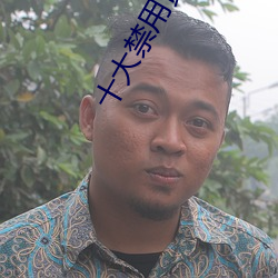 十大禁用黄app在线看