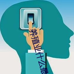 养殖业什么最赚钱农村