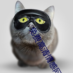 免费高清情感网站大全