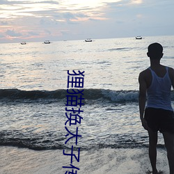 狸(lí)猫换太子(zi)传奇(qí)电(diàn)视剧全集(jí)