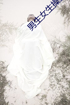 男生女生操逼图片