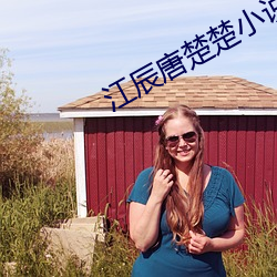 江辰唐楚楚小说全文免费阅读 （换取）