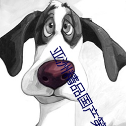 亚洲精品国产第一区二区尤物 （巢焚原燎）