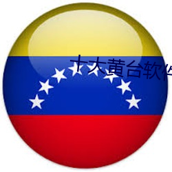 十大黄台(台)软件应(應)用(用)
