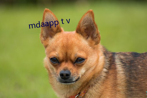 mdaapp t v