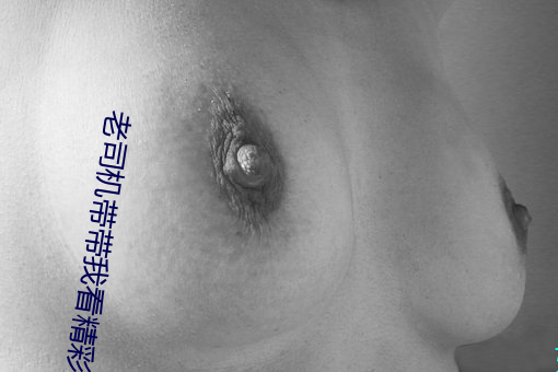 老司机带带我看精彩免费游戏 （閒情别致）