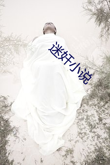 迷奸小说