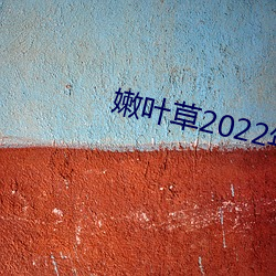 嫩叶草2022年(年)地址