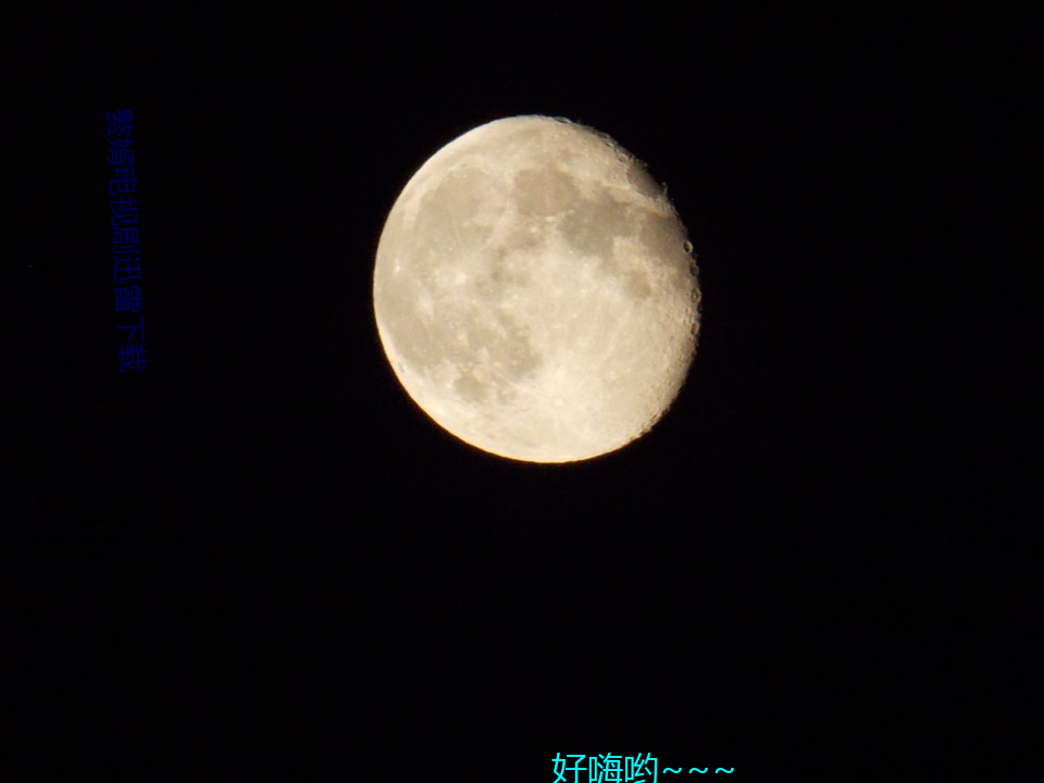 赘婿电视剧迅雷下载 神圣同盟