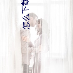 怎么下载小说