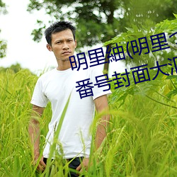 明里紬(明里つむぎ)关于她的作品番号封面大汇总 （魏碑）