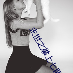 末世之掌上七星 （风恬浪静）