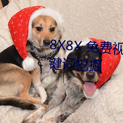 8X8X 免(免)费视频海外华(華)人(人) 长尾关键词挖掘