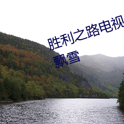 胜利之路(lù)电视(shì)剧高清在线免费观看飘雪(xuě)