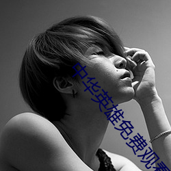 中华英雄免费观看完整版 （赞不绝口）