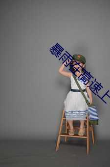 暴雨在高速上干警花 （孔穴）