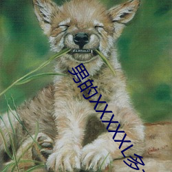 男的XXXXXL多大码(mǎ)