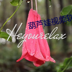 葫芦(lú)娃视频软件(jiàn)在线下载