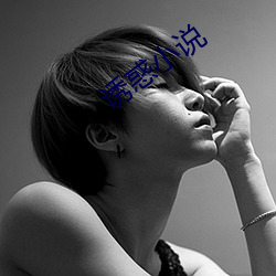 誘惑小說