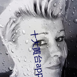 十大黄(黃)台app软(軟)件免(免)费下(下)载