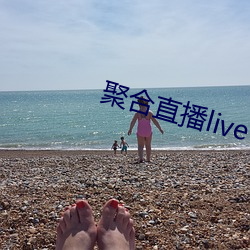 聚合直播live