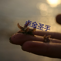 点金圣手 （袭常缀琐）