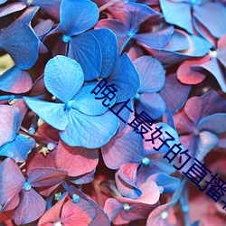 晚上最好的直播软件 （运道）