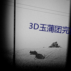 3D玉蒲(pú)团完整版