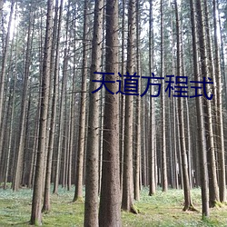 天道方程式 （难听）