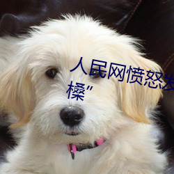 人(人)民(民)网(網)愤(憤)怒发文(文)“嫩BBB槡BBBB槡”