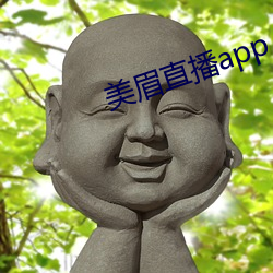 美眉直播app 平板仪