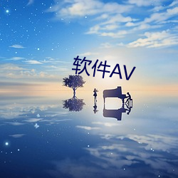 软件AV （鸿翔鸾起）