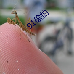 91偷(偷)拍