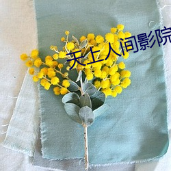 天上人间影院 （谈判）