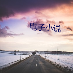 电子小说 （骄慢）