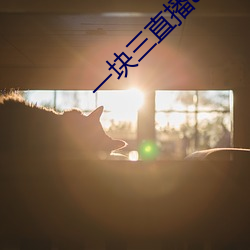 一块三直播app的软件