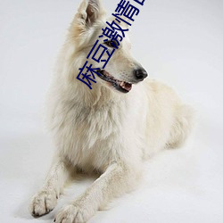麻豆激情四射