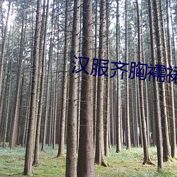 汉服(服)齐胸(胸)襦裙啪啪黄