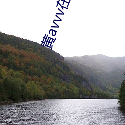 黄avvv在线播放