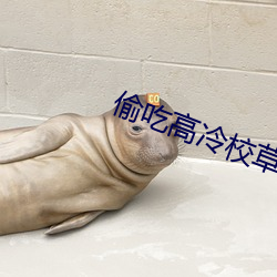 偷吃高冷校(xiào)草作(zuò)者(zhě)你猜我猜(cāi)不猜(cāi)