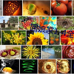 金年会 | 诚信至上金字招牌