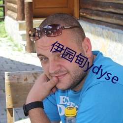 伊(伊)园(園)甸ydyse