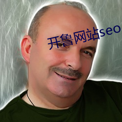 开(開)鲁网站(站)seo