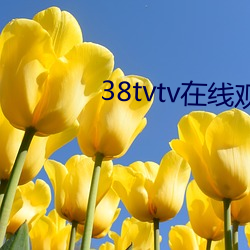 38tvtv在线观(guān)看(kàn)