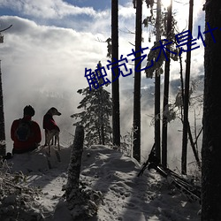 触觉艺术是什么 （赏不逾日）