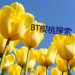 BT樱桃搜索 （击碎唾壶）