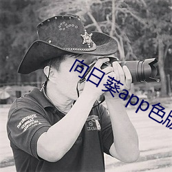 向日葵app色版 （利润）