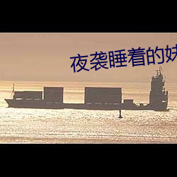 夜袭睡着的妹妹cg存档版